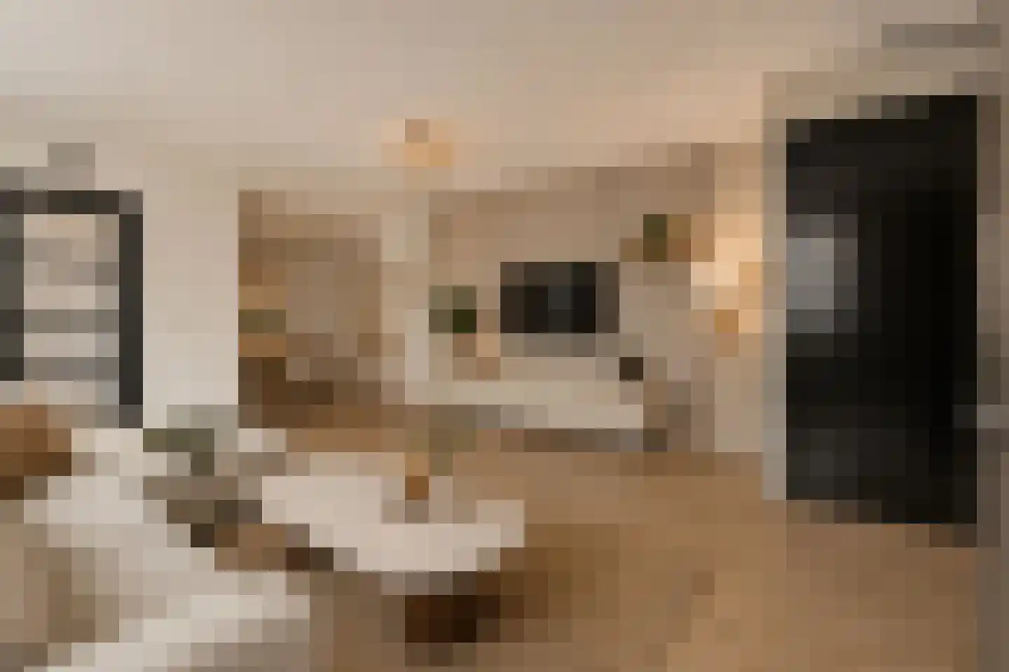 Martinus Nijhoffstraat 77 Zandvoort thumbnail 7