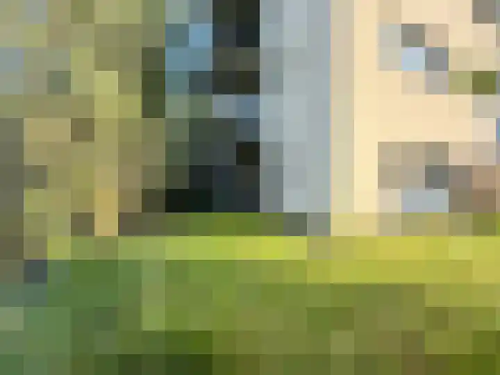 Martinus Nijhoffweg 119 Den Haag thumbnail 10