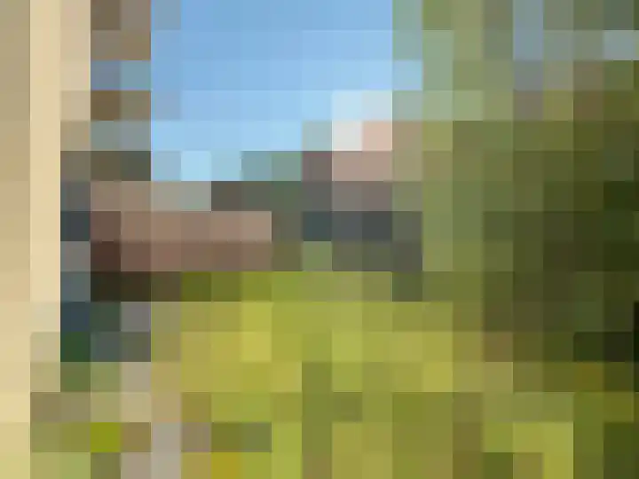 Martinus Nijhoffweg 119 Den Haag thumbnail 6