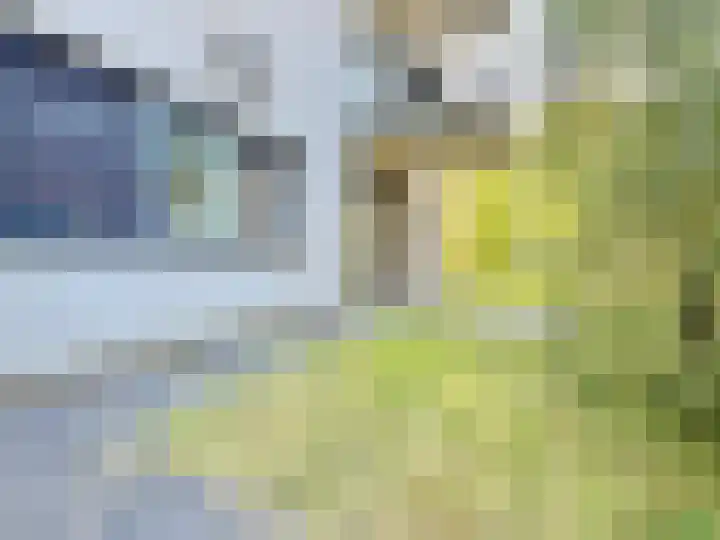 Martinus Nijhoffweg 119 Den Haag thumbnail 7