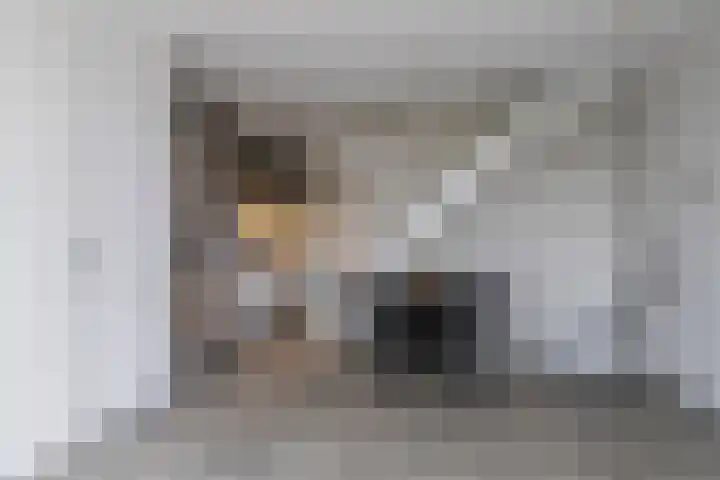 Martinus Nijhoffweg 135 Den Haag thumbnail 17