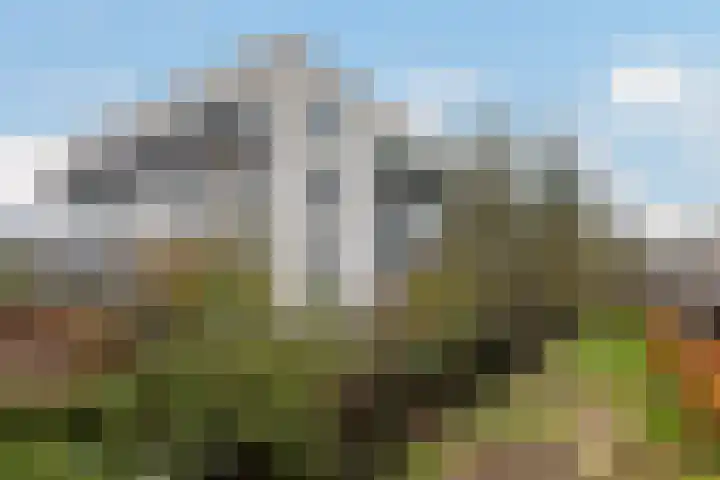 Martinus Nijhoffweg 135 Den Haag thumbnail 5