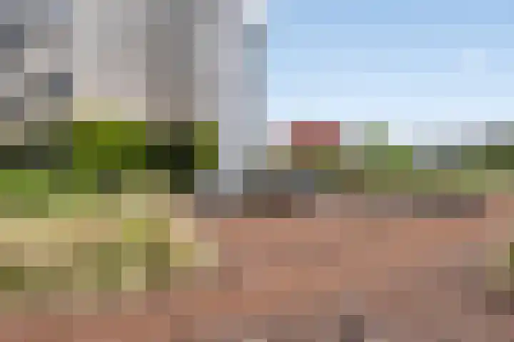 Martinus Nijhoffweg 151 Den Haag thumbnail 18