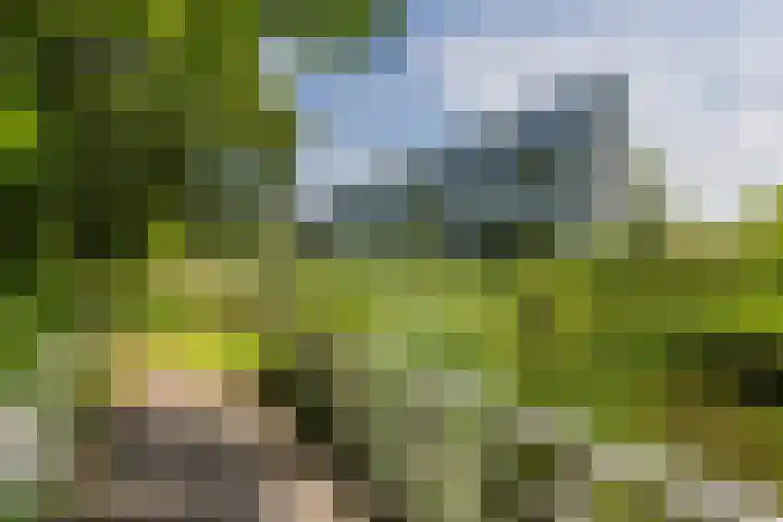 Martinus Nijhoffweg 151 Den Haag thumbnail 20