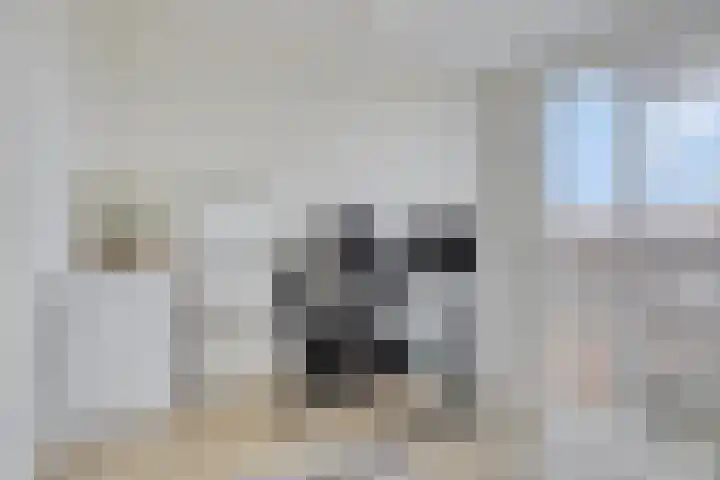 Martinus Nijhoffweg 151 Den Haag thumbnail 6
