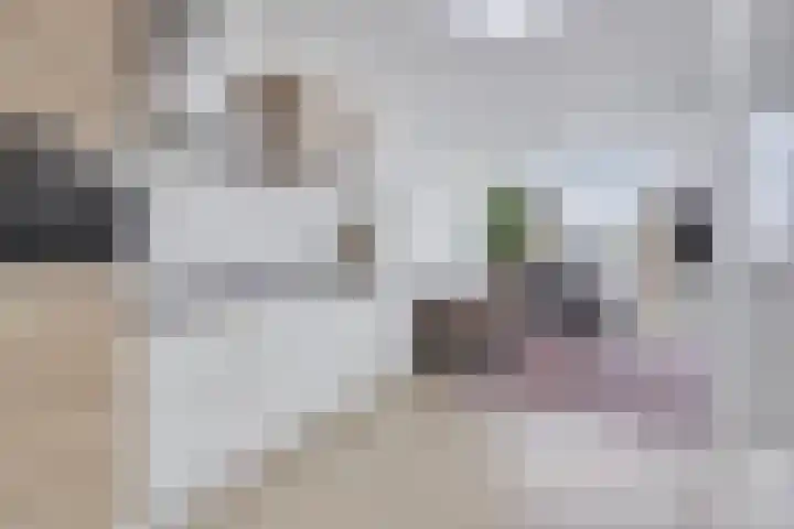 Martinus Nijhoffweg 151 Den Haag thumbnail 8