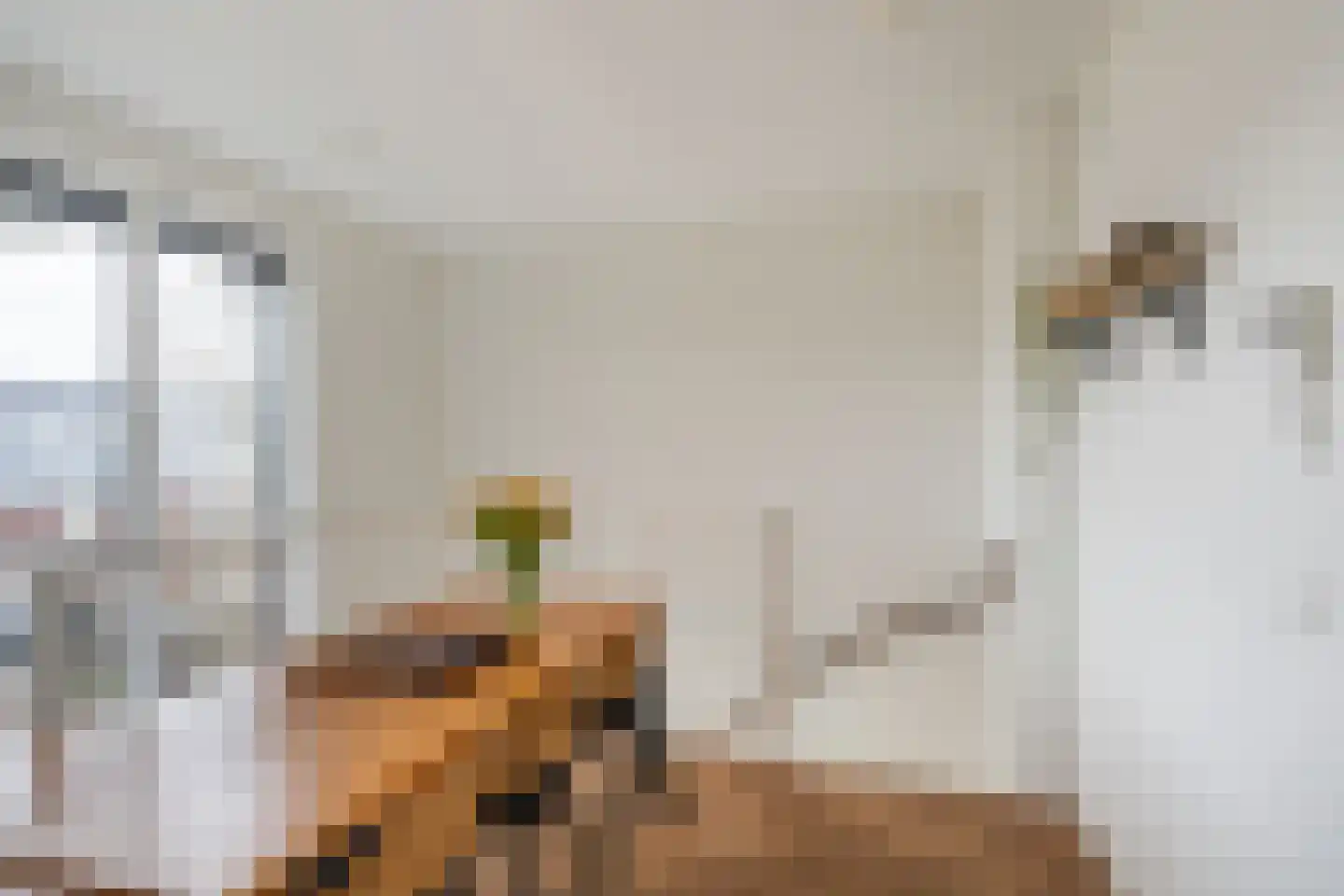 Martinus Nijhoffweg 161 Den Haag thumbnail 5