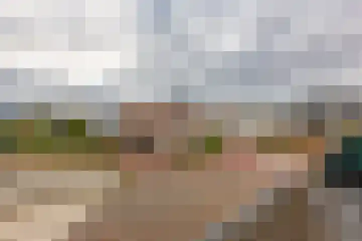 Martinus Nijhoffweg 199 Den Haag thumbnail 16