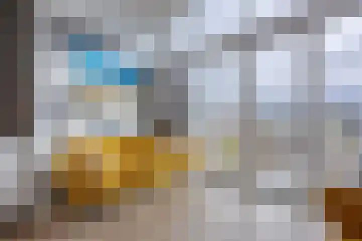 Martinus Nijhoffweg 199 Den Haag thumbnail 19