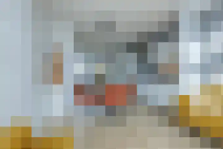 Martinus Nijhoffweg 199 Den Haag thumbnail 20
