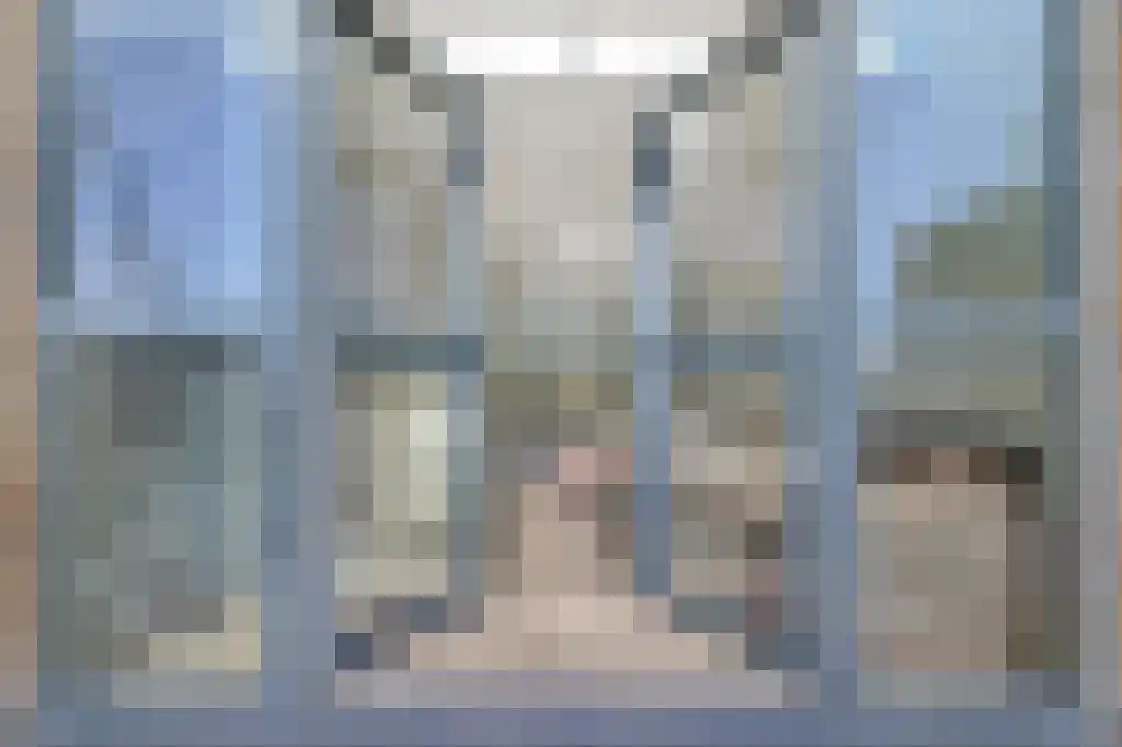Martinus Nijhoffweg 201 Den Haag thumbnail 13