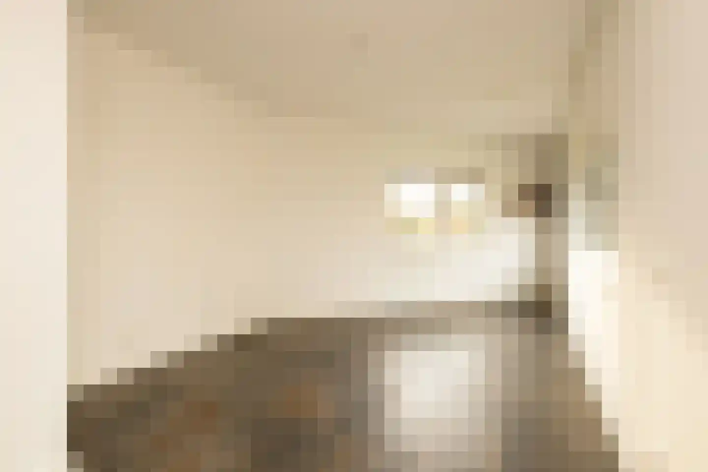 Martinus Nijhoffweg 245 Den Haag thumbnail 10