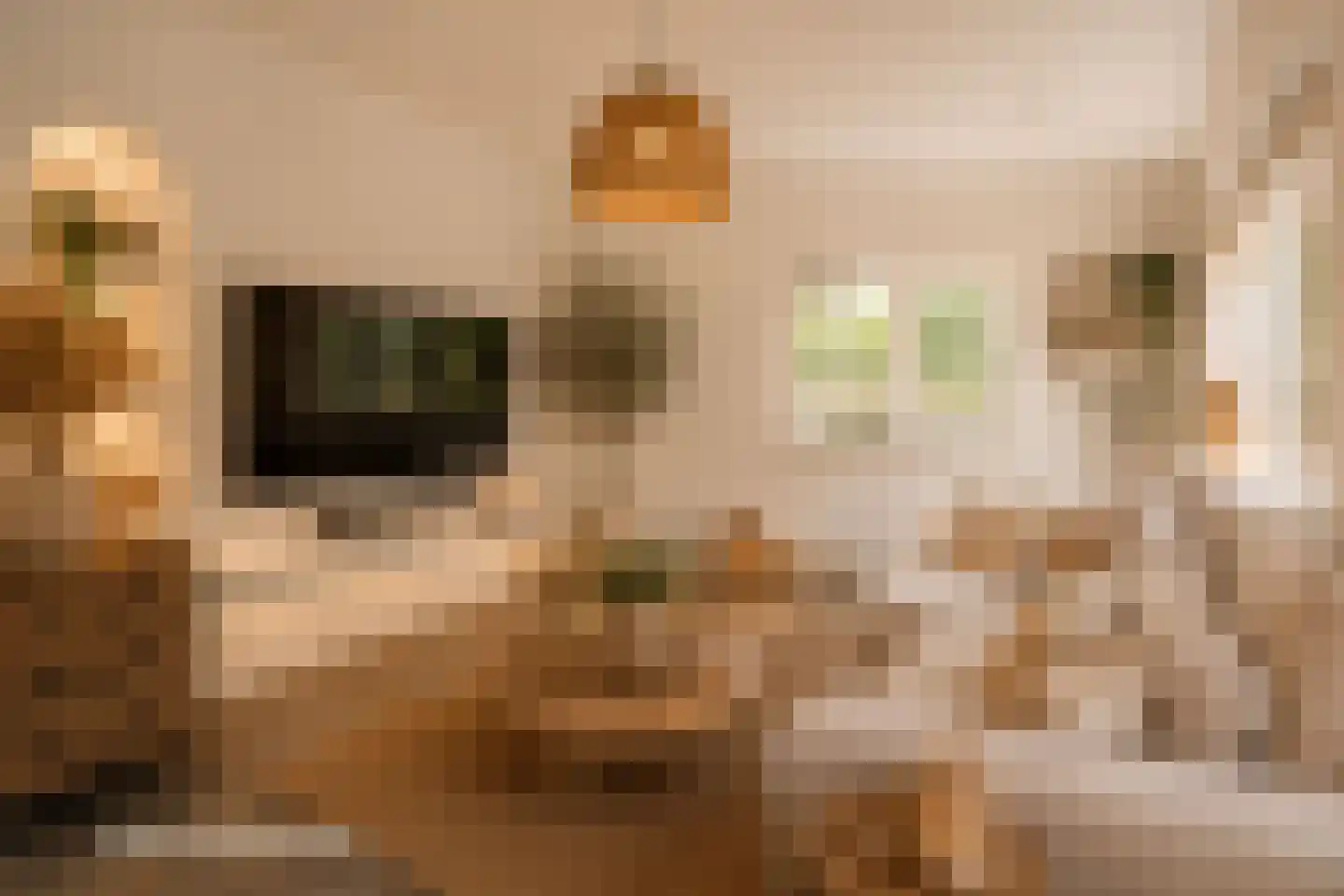 Martinus Nijhoffweg 245 Den Haag thumbnail 11