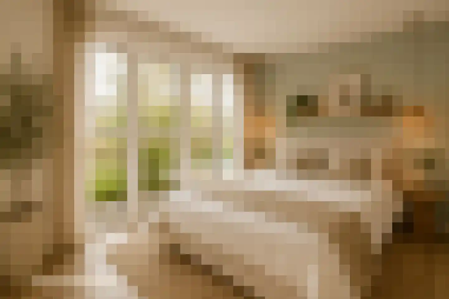 Martinus Nijhoffweg 245 Den Haag thumbnail 29