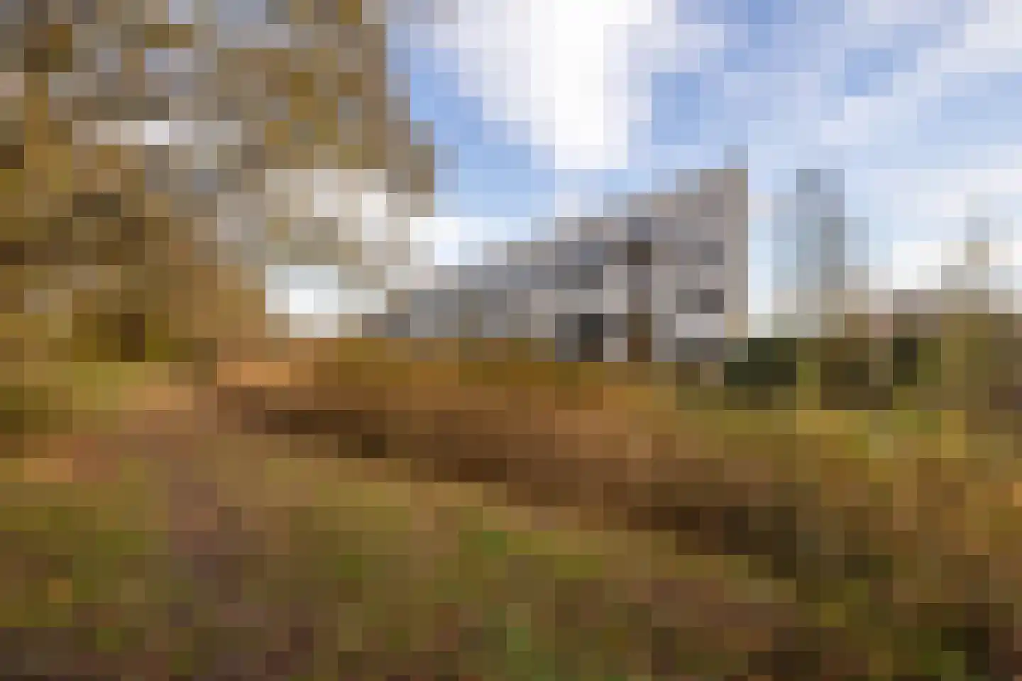 Martinus Nijhoffweg 245 Den Haag thumbnail 35