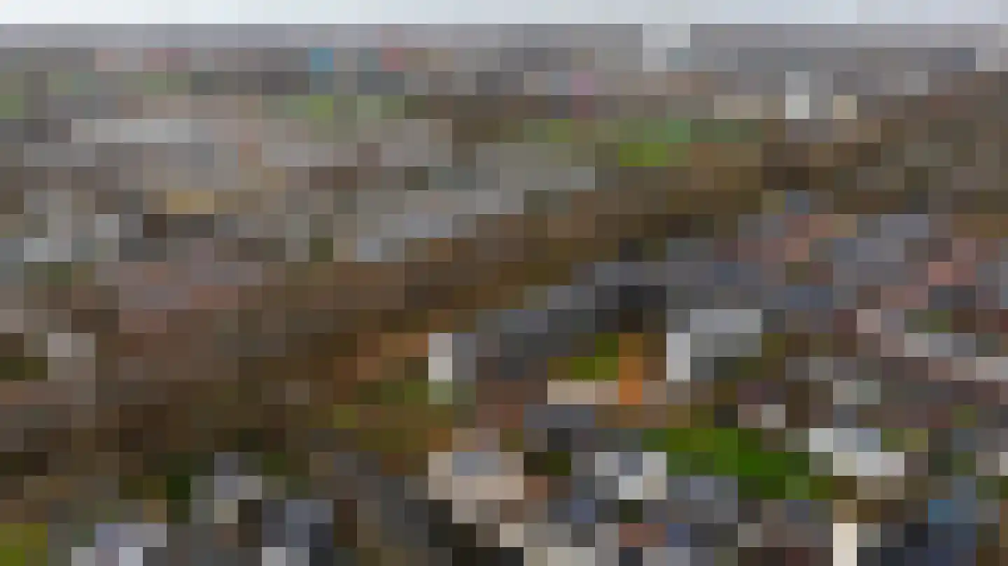 Martinus Nijhoffweg 245 Den Haag thumbnail 37