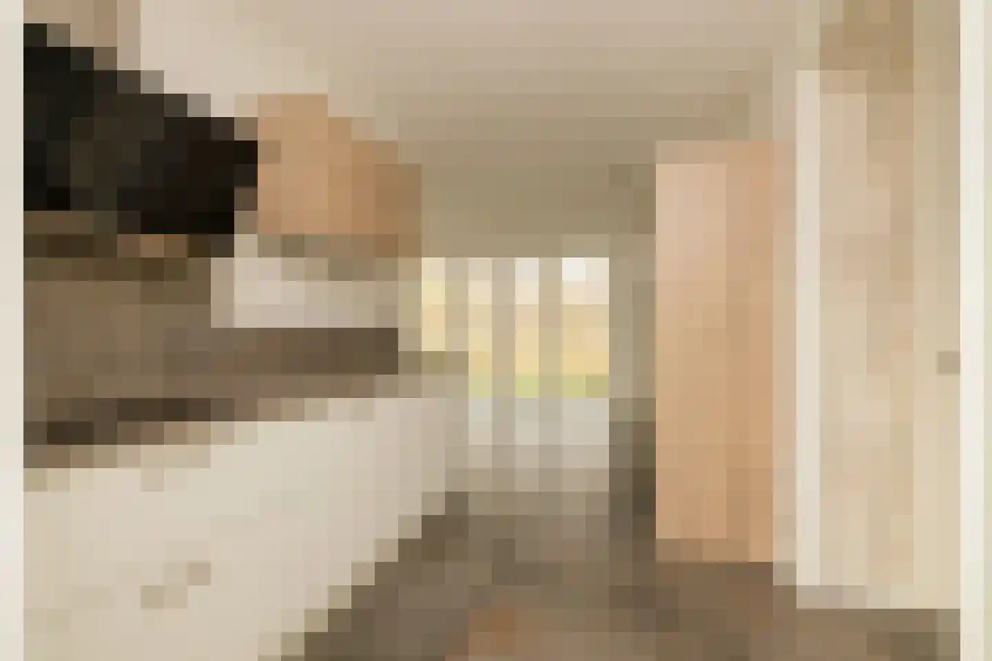 Martinus Nijhoffweg 245 Den Haag thumbnail 6