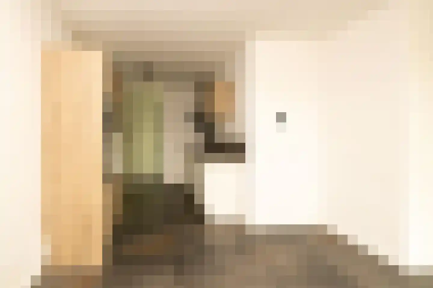Martinus Nijhoffweg 245 Den Haag thumbnail 9