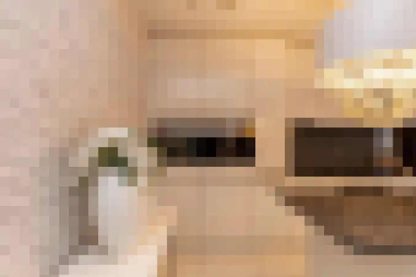 Martinus Nijhoffweg 293 Den Haag thumbnail 10