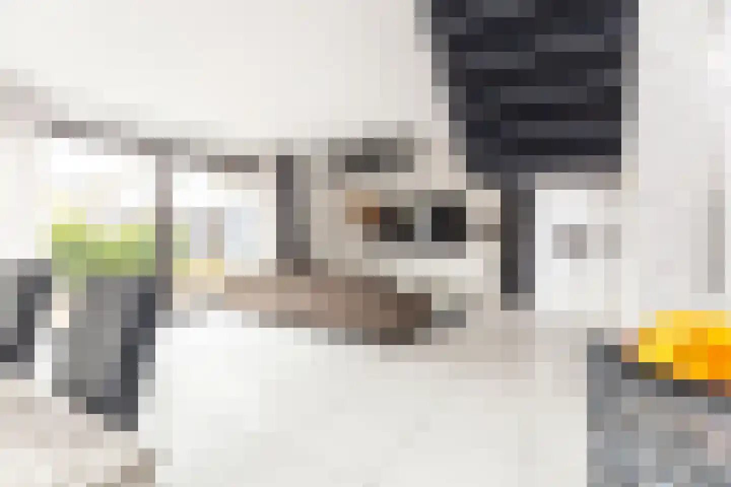 Martinus Nijhoffweg 293 Den Haag thumbnail 12
