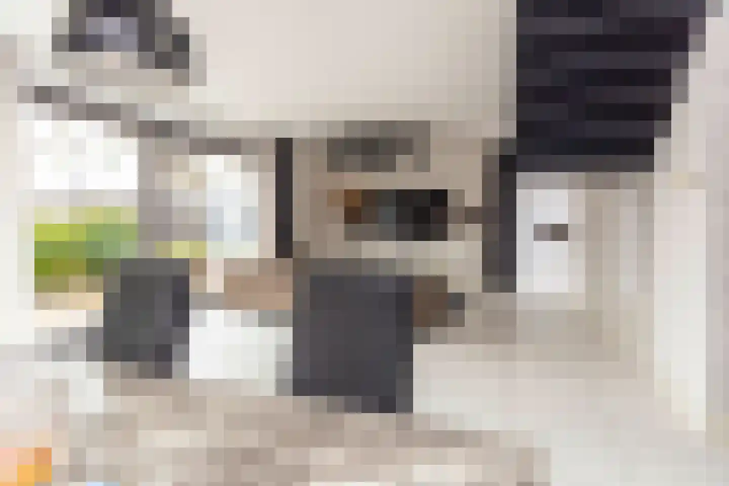 Martinus Nijhoffweg 293 Den Haag thumbnail 13