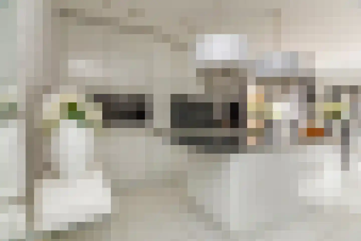 Martinus Nijhoffweg 293 Den Haag thumbnail 4