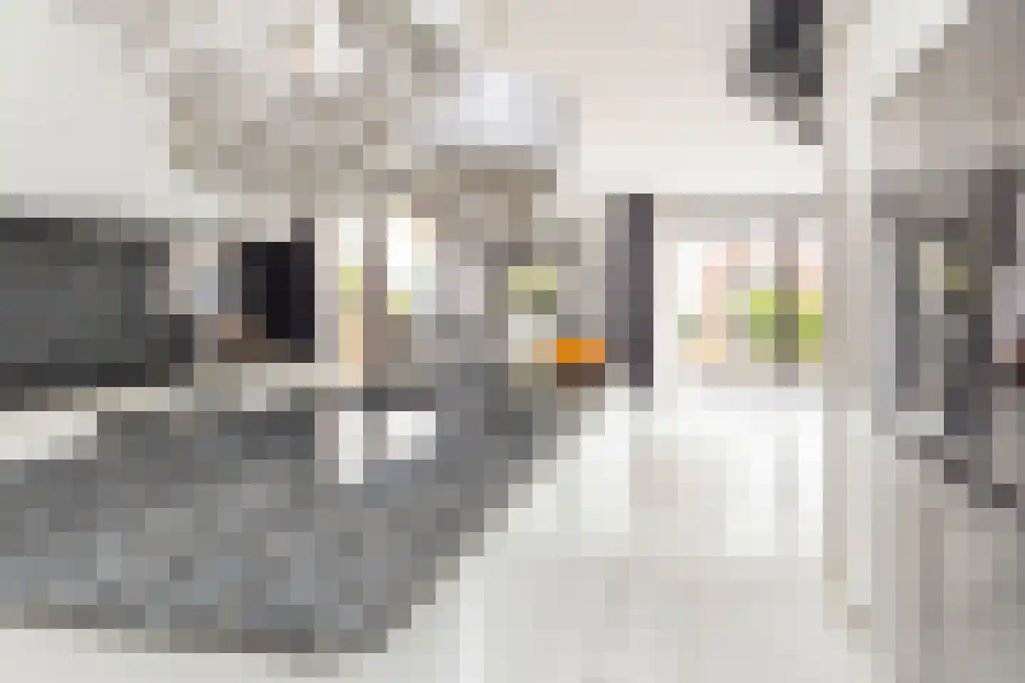 Martinus Nijhoffweg 293 Den Haag thumbnail 8