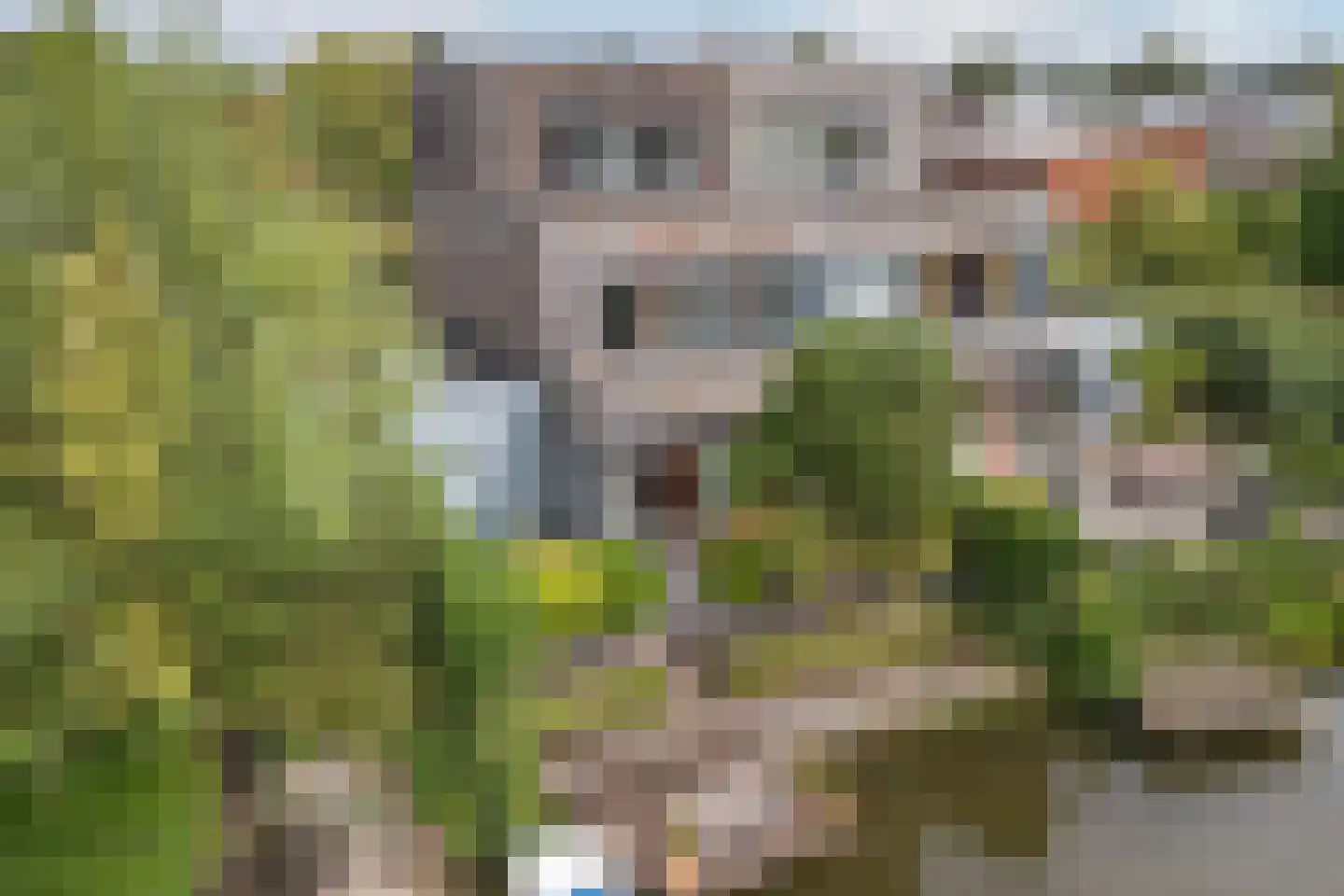 Martinus Nijhoffweg 40 Den Haag