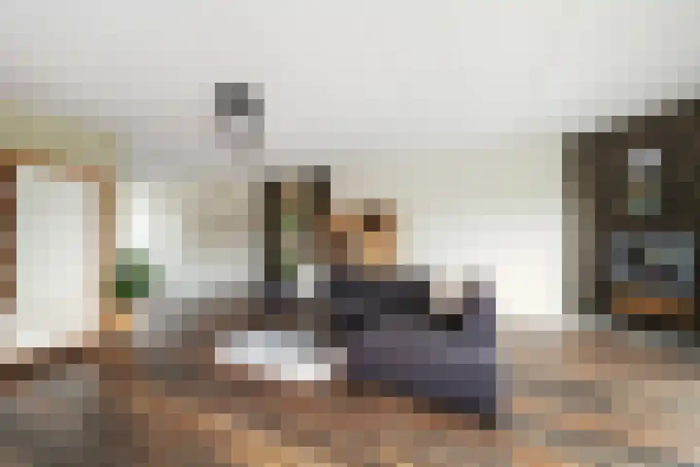 Martinus Nijhoffweg 40 Den Haag thumbnail 10
