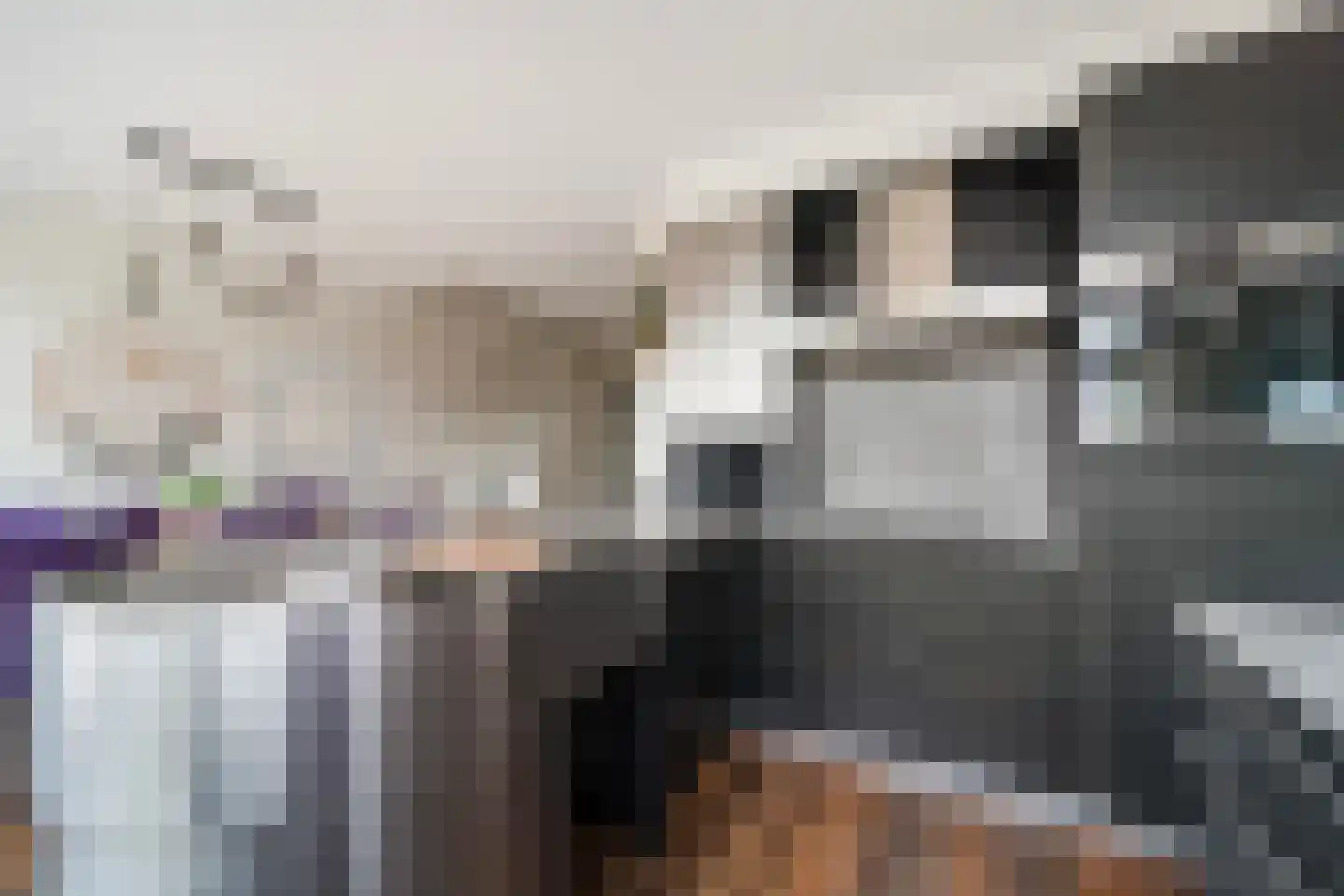 Martinus Nijhoffweg 40 Den Haag thumbnail 16