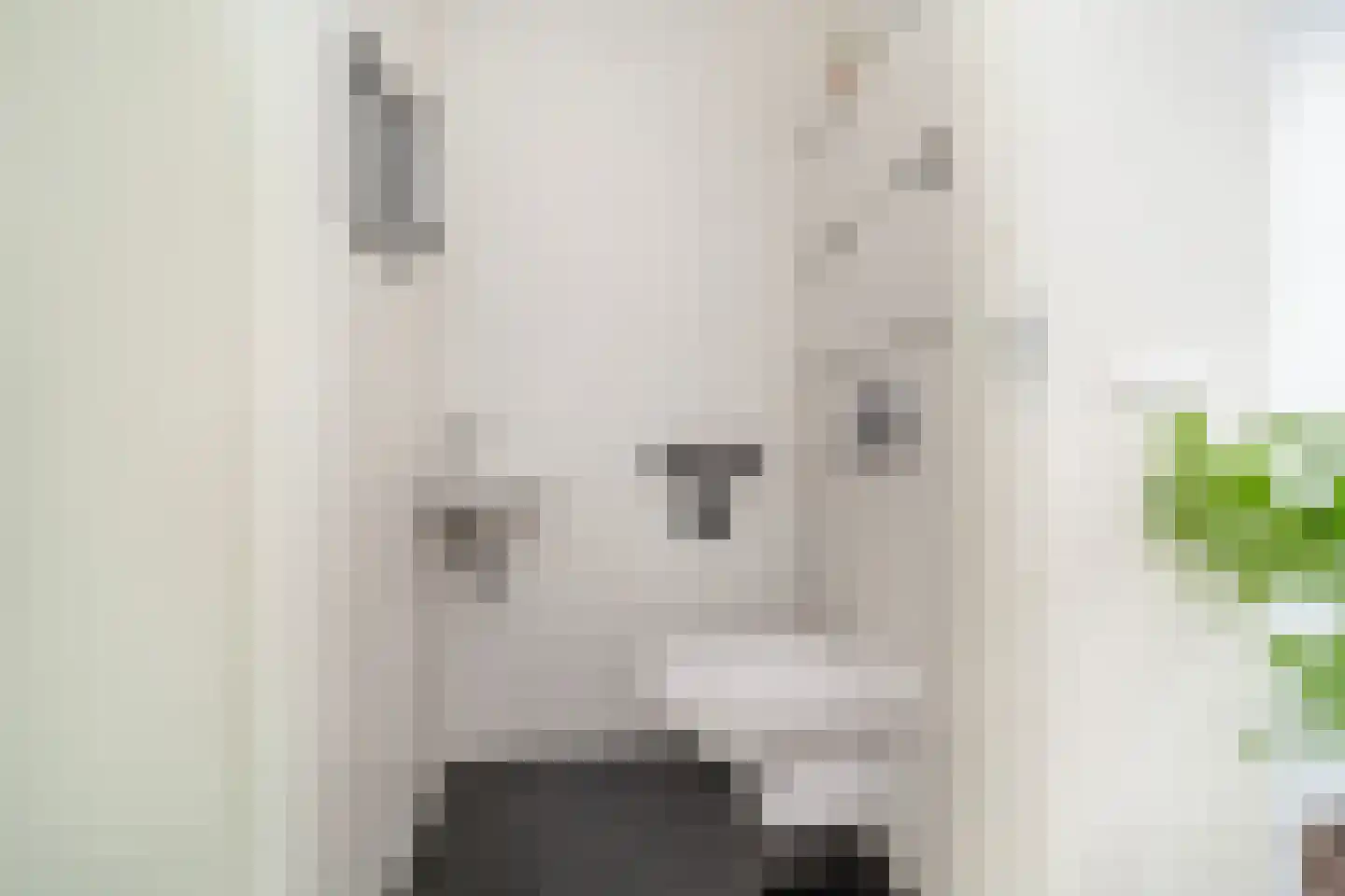 Martinus Nijhoffweg 40 Den Haag thumbnail 19