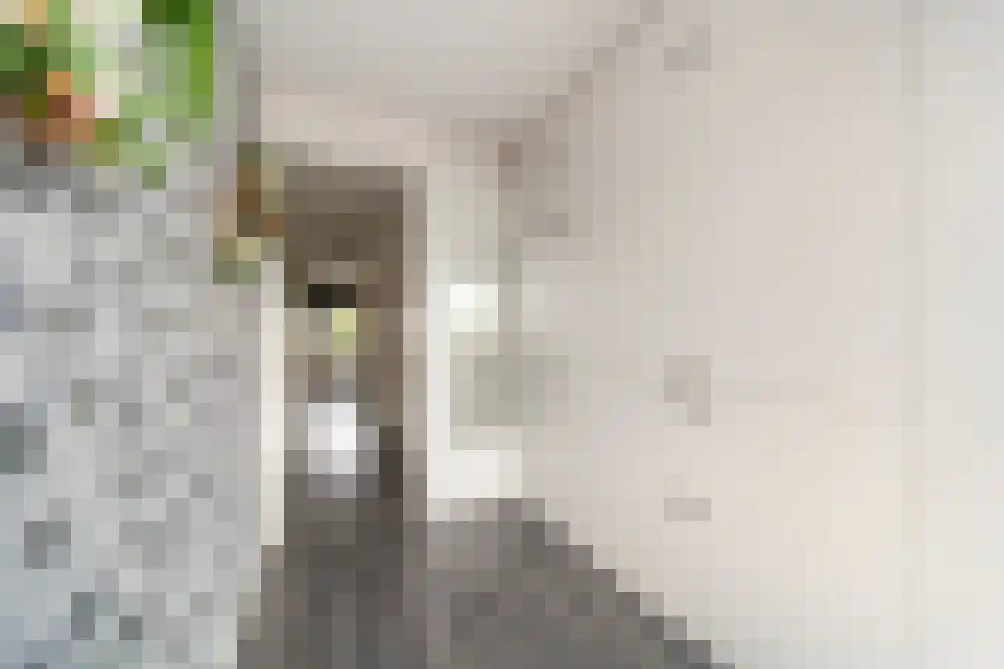 Martinus Nijhoffweg 40 Den Haag thumbnail 27