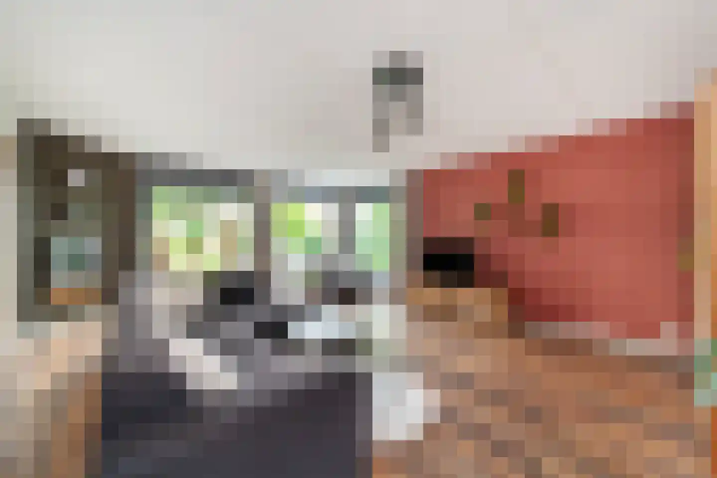 Martinus Nijhoffweg 40 Den Haag thumbnail 8