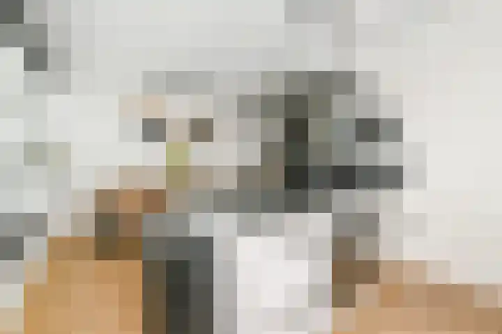 Martinus Nijhoffweg 48 Den Haag thumbnail 10