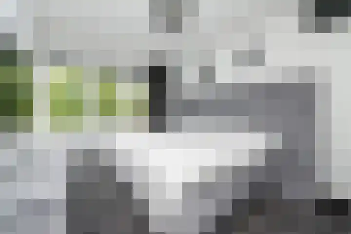 Martinus Nijhoffweg 48 Den Haag thumbnail 15