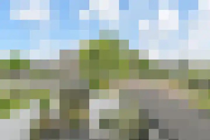 Martinus Nijhoffweg 48 Den Haag thumbnail 25