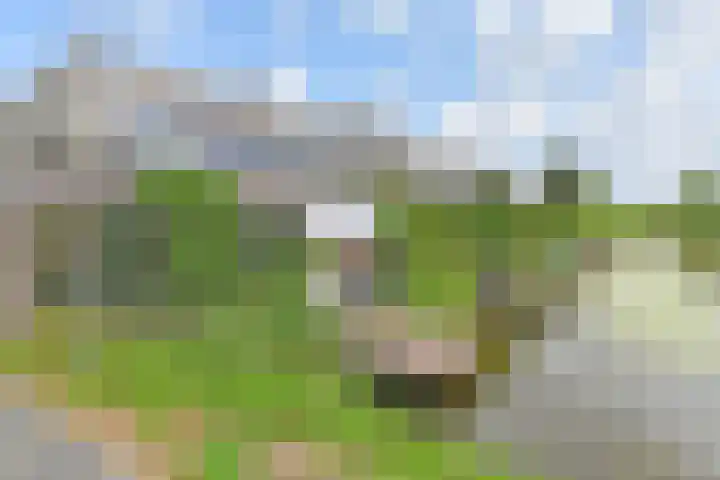 Martinus Nijhoffweg 48 Den Haag thumbnail 32