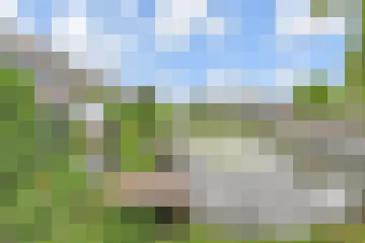 Martinus Nijhoffweg 48 Den Haag thumbnail 33