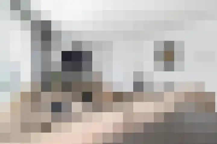 Martinus Nijhoffweg 48 Den Haag thumbnail 5