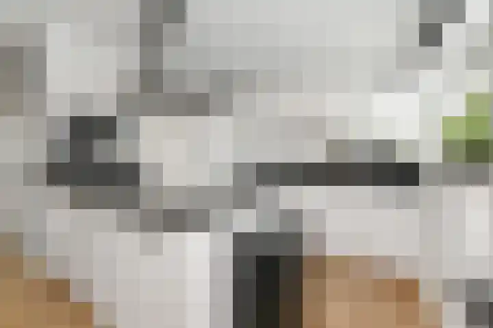 Martinus Nijhoffweg 48 Den Haag thumbnail 9