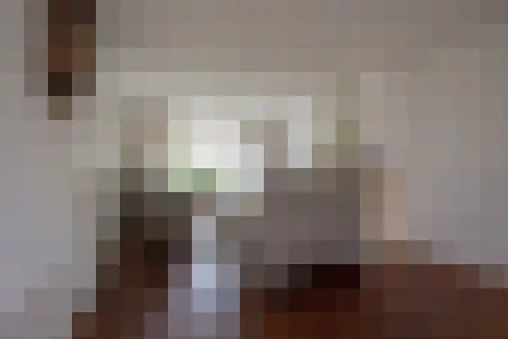 Martinus Zwetslootstraat 20 Nijkerk thumbnail 10