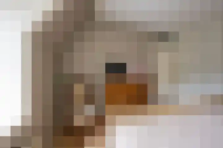 Martinus Zwetslootstraat 20 Nijkerk thumbnail 17