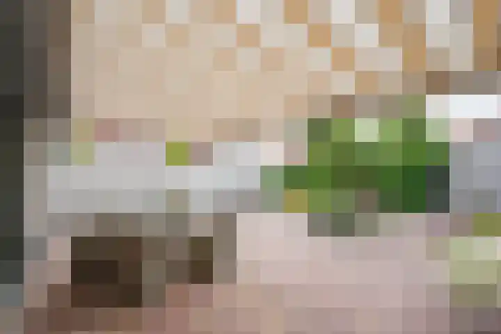Martinus Zwetslootstraat 20 Nijkerk thumbnail 27