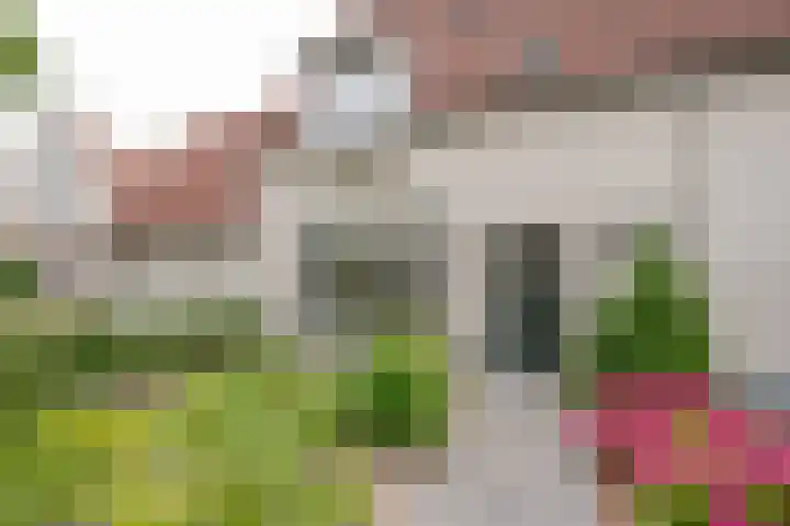 Martinus Zwetslootstraat 20 Nijkerk thumbnail 29