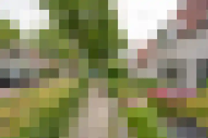 Martinus Zwetslootstraat 20 Nijkerk thumbnail 30