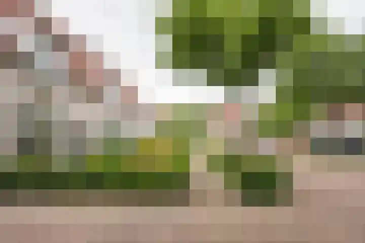 Martinus Zwetslootstraat 20 Nijkerk thumbnail 32