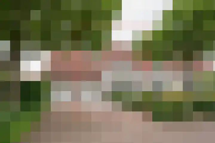 Martinus Zwetslootstraat 20 Nijkerk thumbnail 34