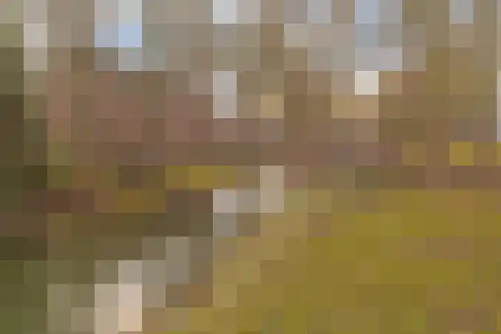 Martinusgaarde 21 Nieuwegein thumbnail 35