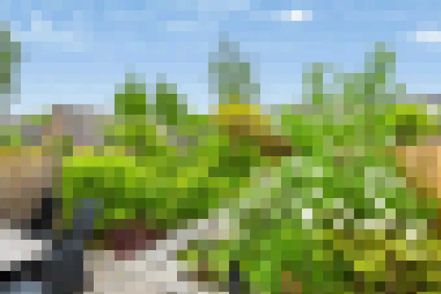 Martinusgaarde 30 Nieuwegein thumbnail 16