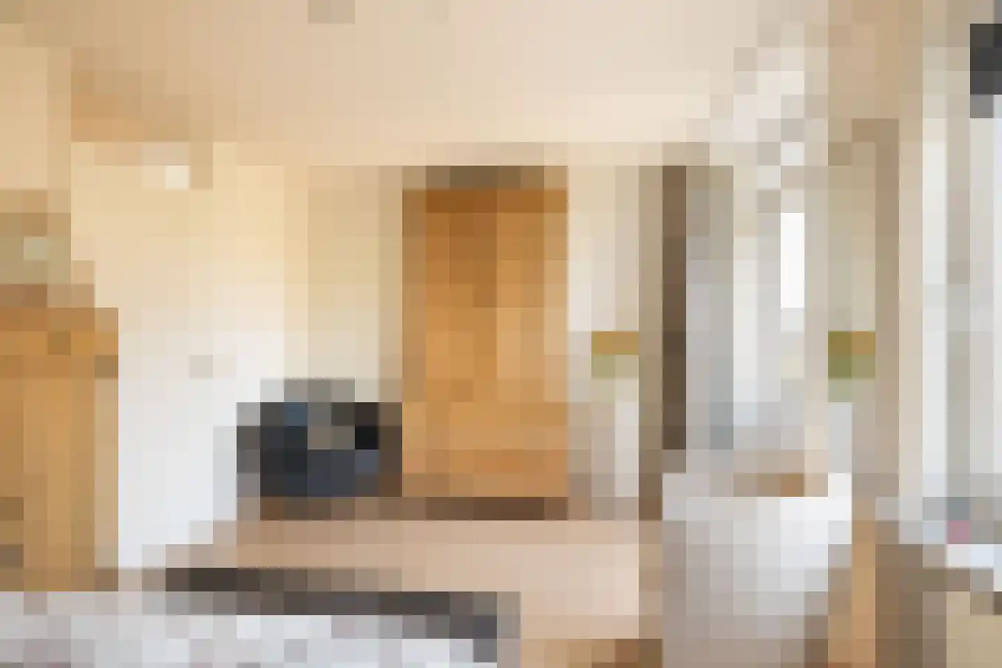 Martinusgaarde 30 Nieuwegein thumbnail 33